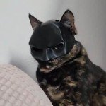 Cute Cat Bat Mask for Halloween Costume