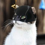 Cute Cat Bat Mask for Halloween Costume