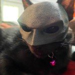Cute Cat Bat Mask for Halloween Costume
