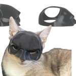 Cute Cat Bat Mask for Halloween Costume