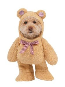 Walking Teddy Bear Pet Costume - Medium Size