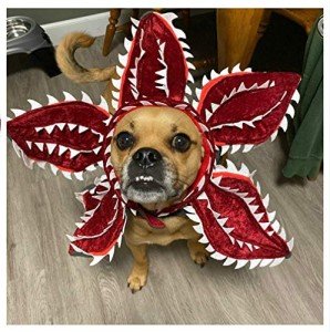 Demogorgon Dog Costume for Halloween and Parties