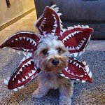 Demogorgon Dog Costume for Halloween and Parties