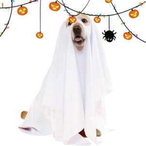 Ghost Cloak Costume for Dogs and Cats