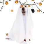 Ghost Cloak Costume for Dogs and Cats