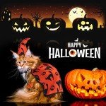 Pet Wizard Costume Cape with Witch Hat Outfit