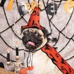 Pet Wizard Costume Cape with Witch Hat Outfit