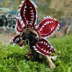 Demogorgon Dog Costume for Halloween and Parties