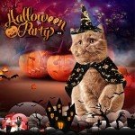 Wizard Costume Set for Pets: Cloak, Hat, Cape
