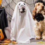 Ghost Cloak Costume for Dogs and Cats