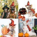 Pet Wizard Costume Cape with Witch Hat Outfit