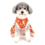 Zunea Halloween Dog Dresses for Small Pets
