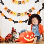 Pet Wizard Costume Cape with Witch Hat Outfit