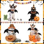 Halloween Bat Wings Costume Set for Pets