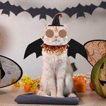 Halloween Bat Wings Costume Set for Pets