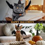 Halloween Bat Wings Costume Set for Pets