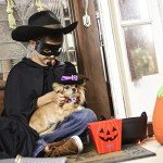 Halloween Bow Tie Cat and Dog Collars Set