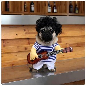 Dog Guitar Costume for Halloween & Parties (XL)