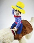 Cowboy Pet Costume for Dogs - Party Style