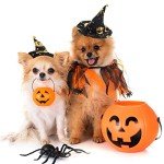 Pet Halloween Costumes with Adjustable Witch Hat