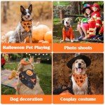 Halloween Dog Bandana Set - Witch & Pumpkin Design