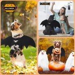 Adjustable Black Bat Wings Costume for Dogs