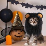 Lion Mane Costume for Cats and Dogs