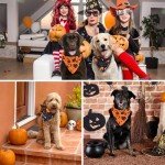 Halloween Dog Bandana Set - Witch & Pumpkin Design