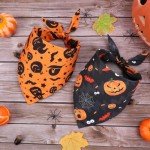 Halloween Dog Bandana Set - Witch & Pumpkin Design