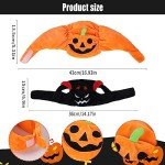 Halloween Pet Costume Hats - Pumpkin & Devil