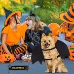 Adjustable Black Bat Wings Costume for Dogs