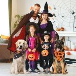 Halloween Dog Bandana Set - Witch & Pumpkin Design