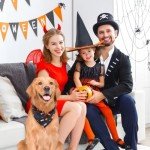 Halloween Dog Bandana Set - Witch & Pumpkin Design