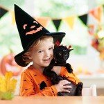 Halloween Pet Costume Hats - Pumpkin & Devil