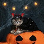 Halloween Pet Costume Hats - Pumpkin & Devil