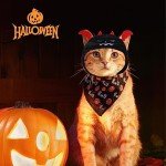 Halloween Pet Costume Hats - Pumpkin & Devil
