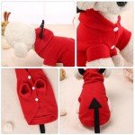 Devil Festival Dog Costume with Mane for Pets