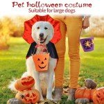 Halloween Costumes for Large Dogs