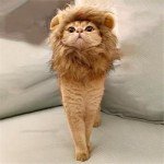 Adjustable Lion Mane Costume for Cats and Dogs
