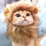 Adjustable Lion Mane Costume for Cats and Dogs