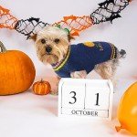 ABRRLO Halloween Pet Sweater - Blue Pumpkin
