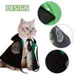 Black and Green Halloween Costumes for Pets