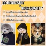 Black and Green Halloween Costumes for Pets