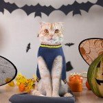 ABRRLO Halloween Pet Sweater - Blue Pumpkin