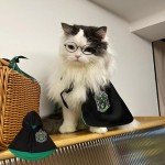 Black and Green Halloween Costumes for Pets