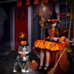 Adjustable Halloween Bat Wings for Pets