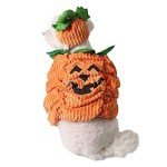 Halloween Pumpkin Costume for Medium Dogs