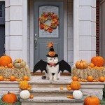 Adjustable Halloween Bat Wings for Pets