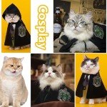 Black and Green Halloween Costumes for Pets