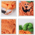 Halloween Pumpkin Costume for Medium Dogs